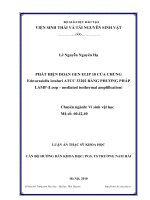 phát hiện đoạn gen elip 18 của chủng edwardsiella ictaluri atcc 33202 bằng phương pháp lamp (loop mediated isothermal amplifications)