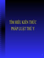 tìm hiểu kiến thức pháp luật thú y