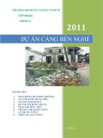 SỰ THẤT BẠI CỦA DỰ ÁN CẢNG BẾN NGHÉ