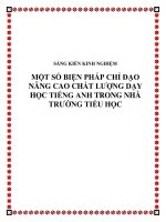 skkn một số biện pháp chỉ đạo nhằm nâng cao chất lượng dạy học môn tiếng anh trong trường tiểu học