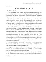 báo cáo quy trình và thiết bị sản xuất chocolate