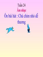 bài giảng âm nhạc 2 bài 24 ôn tập hát chú chim nhỏ dễ thương