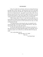 che phủ trong canh tác ngô đất dốc ở huyện văn chấn tỉnh yên bái