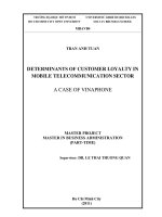 Determinants of customer loyalty in mobile telecommunication sector A case of VinaphoneDeterminants of customer loyalty in mobile telecommunication sector A case of Vinaphone