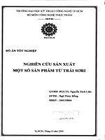 nghiên cứu sản xuất một số sản phẩm từ trái sơri