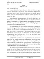 skkn những phương pháp giải phương trình bậc cao