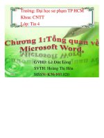 Thảo luận chương 1tổng quan về microsoft word