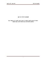 ĐỒ ÁN TỐT NGHIỆP ĐẶC ĐIỂM CẤU TRÚC ĐỊA CHẤT VÀ PHỤC HỒI LỊCH SỬ PHÁT TRIỂN ĐỊA CHẤT PHẦN BẮC BỂ SÔNG HỒNG