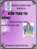 Bài thuyết trình: Kiểm toán tài chính