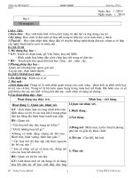 GIÁO ÁN MỸ THUẬT LỚP 6