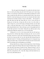 Đánh giá tài nguyên khoáng sản trong và ngoài nước