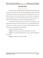 : Thực trạng hoạt động marketing của công ty TNHH xuất khẩu gốm sứ Nam Chân