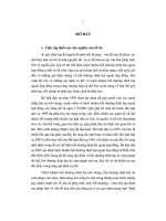 Đề tài chế định bồi thường thiệt hại trong trường hợp sức khỏe và tính mạng bị xâm phạm lý luận và thực tiễn