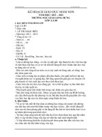 Giáo án lớp lá cả năm