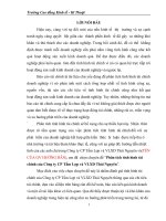 Phân tích tình hình tài chính của công ty CP tấm lợp và VLXD thái nguyên