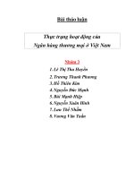 Thực trạng hoạt động của Ngân hàng thương mại ở Việt Nam