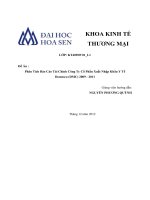 phân tích báo cáo tài chính công ty cp xnk y tế domesco