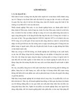 Xây dựng chiến lược kinh doanh công ty TNHH DV  ĐT PHÁT TRÍ giai đoạn 2008 2012