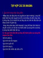 bài giảng thạch luận các đá magma -tập hợp các đá magma