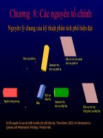 bài giảng thạch luận các đá magma chương  8 các nguyên tố chính