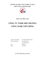 báo cáo thực xử lý môi trường