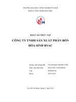 Công nghệ sản xuất phân hữu cơ rác