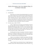 phân tích báo cáo tài chính công ty cổ phần Vincom