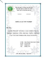 GIẢI PHÁP NÂNG CAO HIỆU QUẢ HOẠT ĐỘNG TÍN DỤNG TIÊU DÙNG TẠI TECHCOMBANK BẠCH ĐẰNG