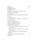 Bài tập lớn môn hiến pháp