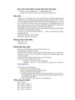 Bài tập lớn cơ sở truyền số liệu