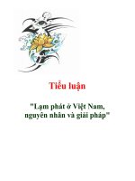 Báo cáo khoa học lạm phát ở Việt Nam,nguyên nhân và giải pháp