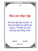 Kế toán tập hợp chi phí  và tính giá thành sản phẩm tại công ty TNHH sản xuất thương mại đông nam