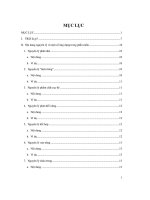 Đề tài phương pháp luận sáng tạo (“TRIZ”)   luận văn, đồ án, đề tài tốt nghiệp