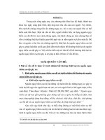 Đề tài luật dân sự  nguồn nguy hiểm cao độ