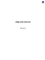 Giáo trình Nhập môn internet