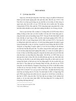 Khóa luận bảo vệ cổ đông thiểu số