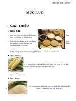 CÔNG NGHỆ SẢN XUẤT CEREAL BREAKFAST