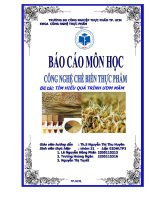 Báo cáo công nghệ chế biến thực phẩm tìm hiểu quy trình ươm mầm