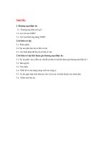 Đề tài thương mại điện tử trong sở hữu trí tuệ