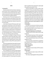 Tác động của vốn đầu tư trực tiếp nước ngoài tới các ngành công nghiệp chế tác ở Việt Nam (TT)