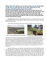 Một số kết quả nghiên cứu sự ảnh hưởng các yếu tố đất đắp và đất nền tự nhiên đến hệ số ổn định tổng thể của nền đường vùng đồng bằng sông cửu long