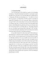 Đề tài tạm đình chỉ, đình chỉ việc giải quyết vụ án dân sự