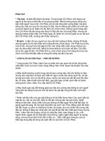 phân tích nhân vật chí phèo