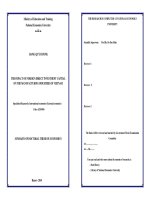 The impact of foreign direct  investment capital on the manufacturing industries in vietnam