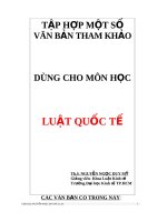 Đề tài tập hợp một số văn bản tham khảo dùng trong luật quốc tế