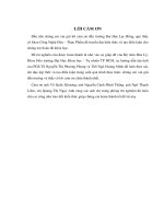 nghiên cứu chế tạo vật liệu nanocomposite pt-au c ứng dụng làm xúc tác cho pin nhiên liệu