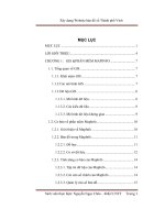 xây dựng website bản đồ số thành phố vinh