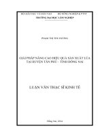 Giải pháp nâng cao hiệu quả sản xuất lúa tại huyện Tân Phú – tỉnh Đồng Nai
