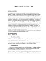 STRUCTURE OF VIETNAMS GDP