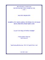 Nghiên cứu nhân giống vô tính cây cỏ ngọt bằng phương pháp khí canh